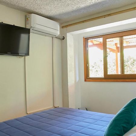 Hostal Aldea Colchagua Experience Santa Cruz Buitenkant foto