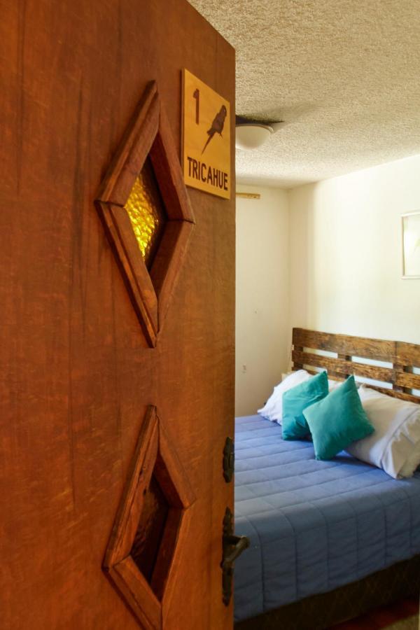 Hostal Aldea Colchagua Experience Santa Cruz Buitenkant foto