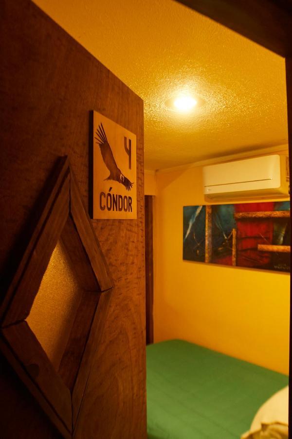 Hostal Aldea Colchagua Experience Santa Cruz Buitenkant foto